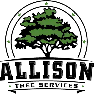 A stylized green tree above the word "ALLISON" in bold, black capital letters on a black background.