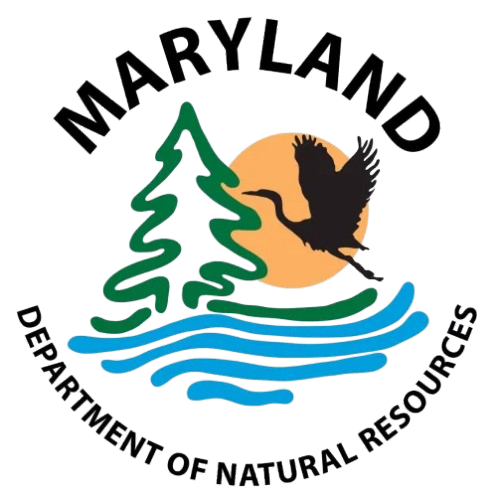 md-dnr-removebg-preview Maryland Department of Labor logo with Maryland flag and bold text.