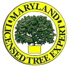 md-tree-removebg-preview Badge with "Google Guaranteed Service Provider" text and checkmarks in a circular design.