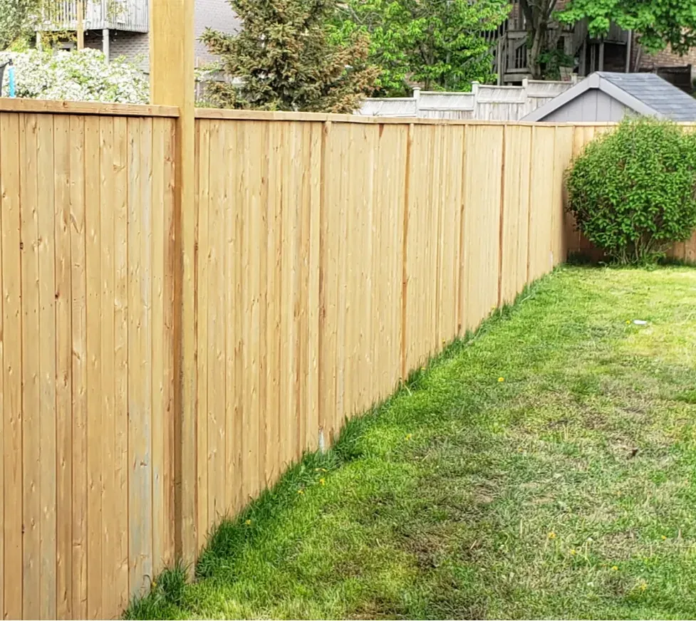 A wooden privacy fence runs along the edge of a grassy backyard beside a leafy green bush.